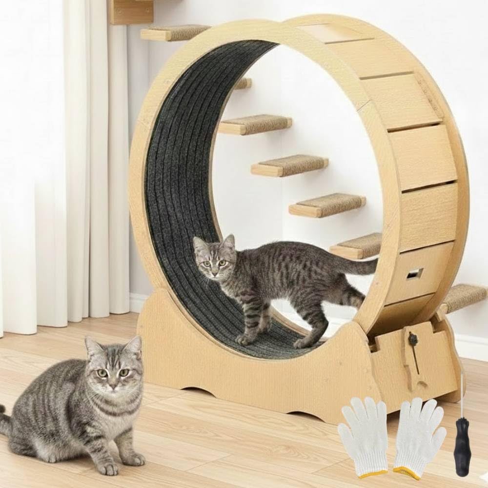 Amazon.co.jp: iimono117 キャットホイール 猫の車輪 (S/M/L) 猫